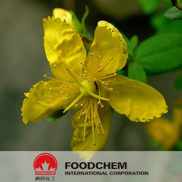Hypericum Perforatum Extract
